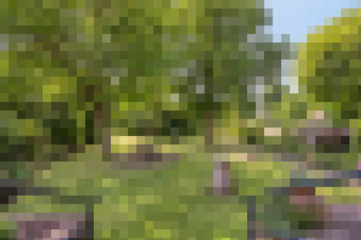 Heijenseweg 15 Gennep thumbnail 73