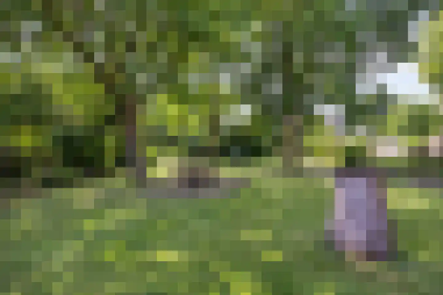 Heijenseweg 15 Gennep thumbnail 74
