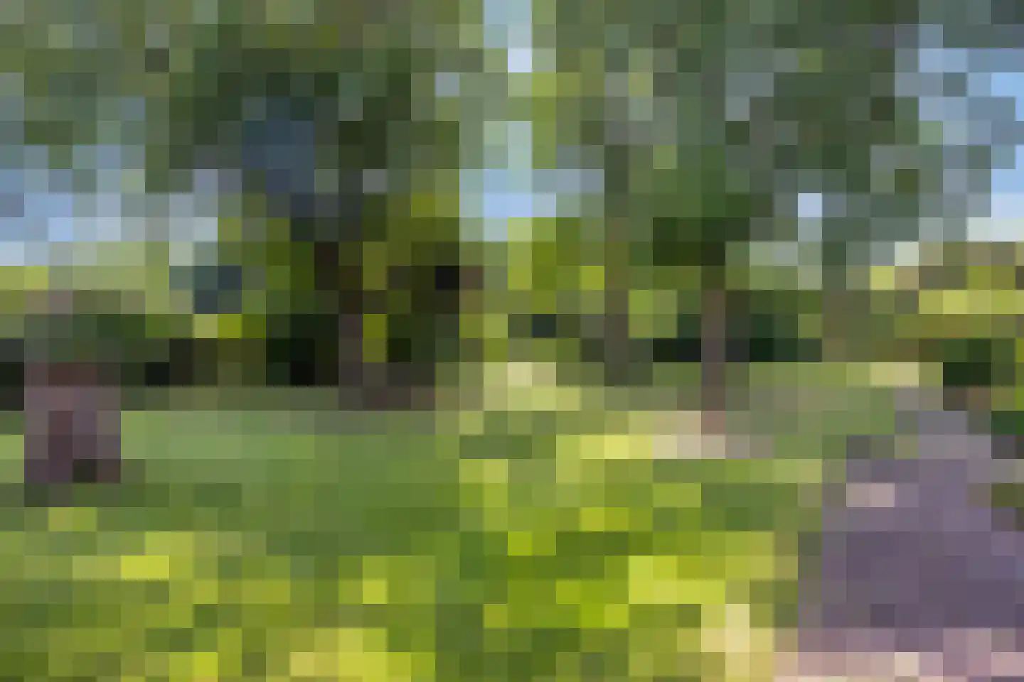 Heijenseweg 15 Gennep thumbnail 75