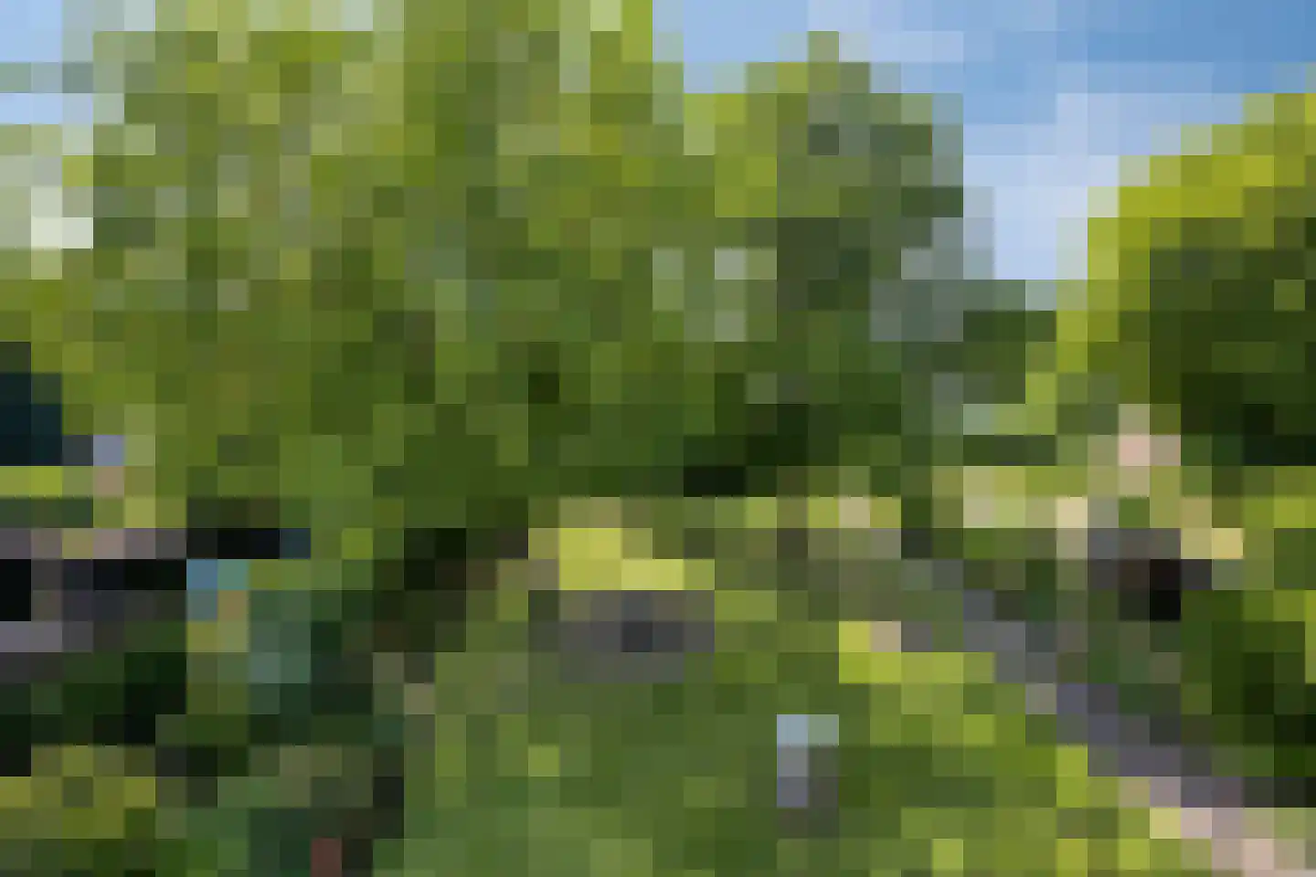 Heijenseweg 15 Gennep thumbnail 76