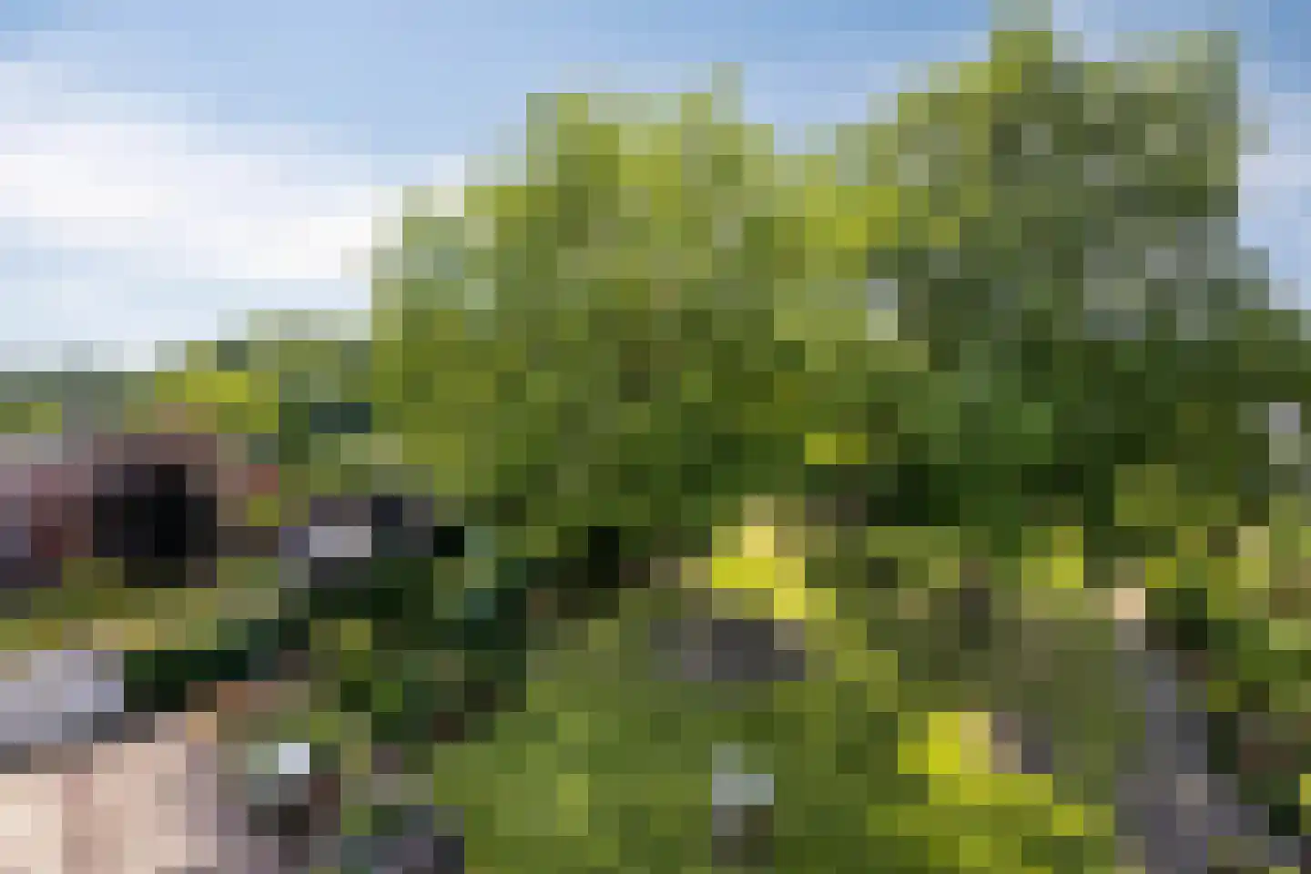 Heijenseweg 15 Gennep thumbnail 77