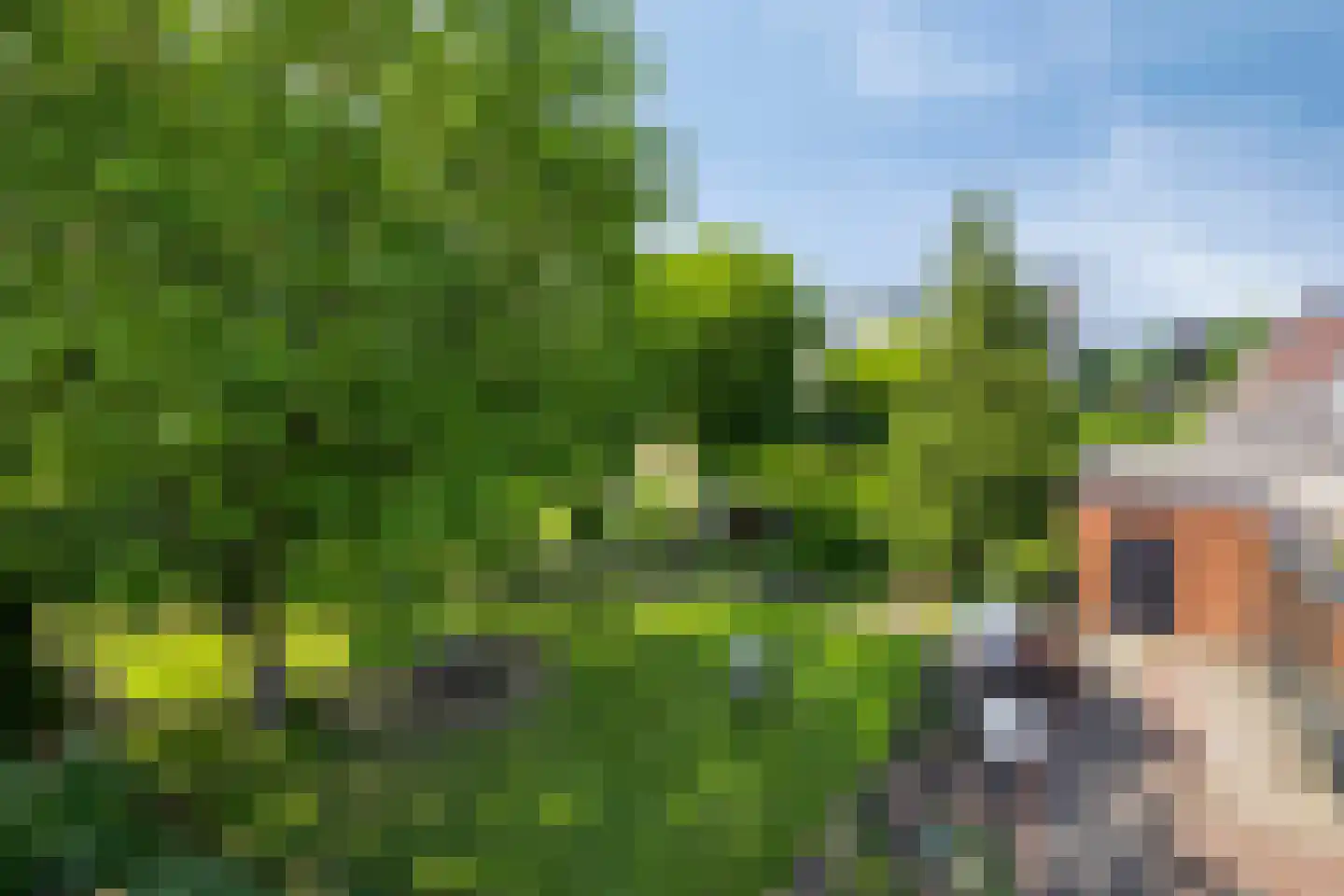 Heijenseweg 15 Gennep thumbnail 78