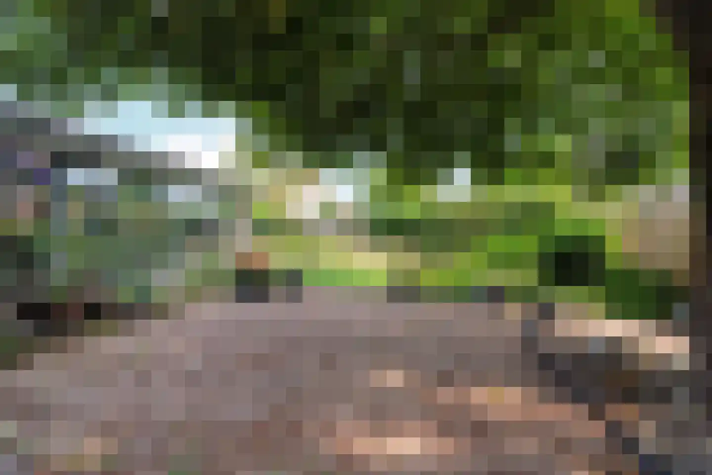 Heijenseweg 32 Gennep thumbnail 5