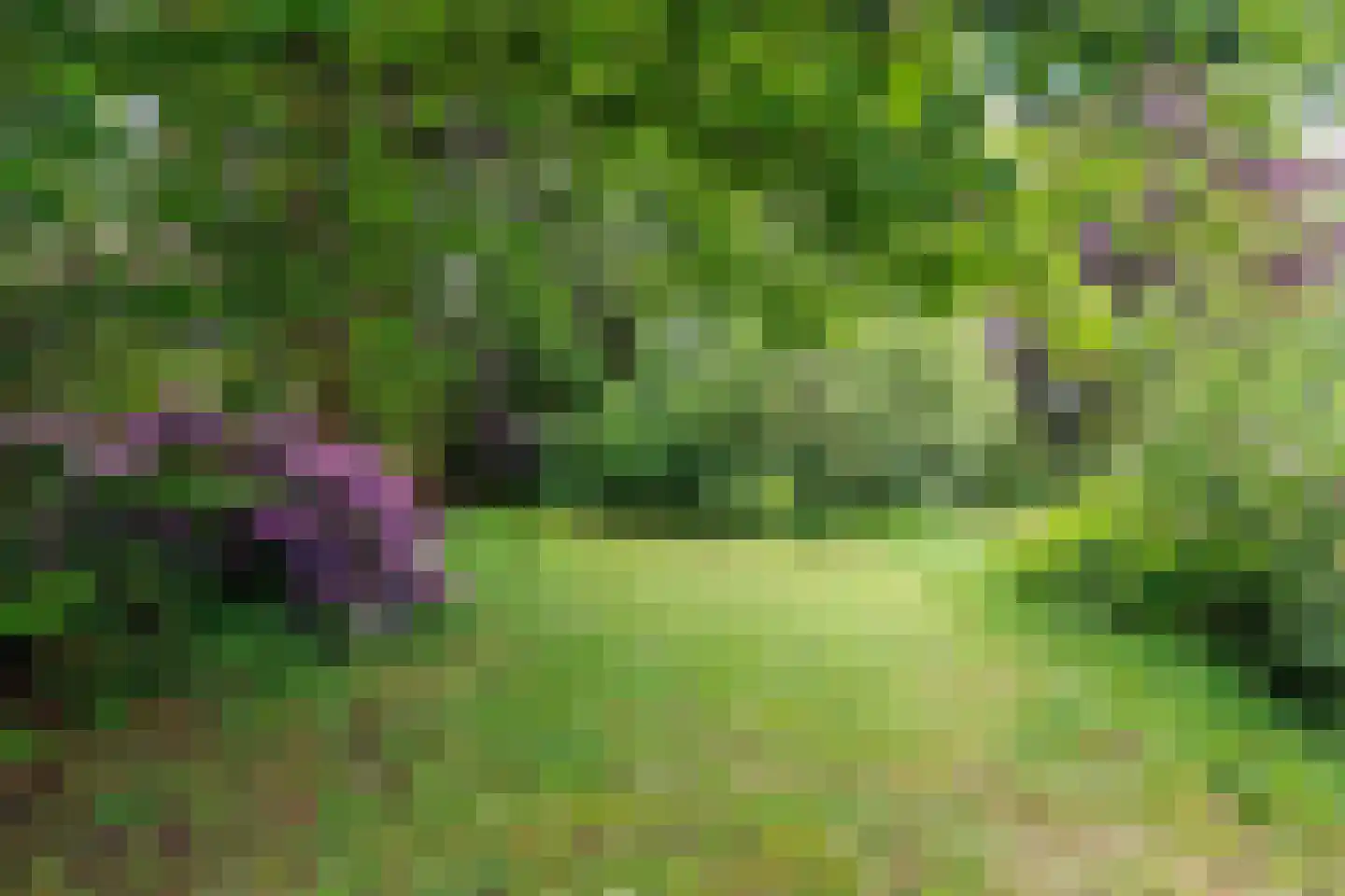 Heijenseweg 62 Gennep thumbnail 4
