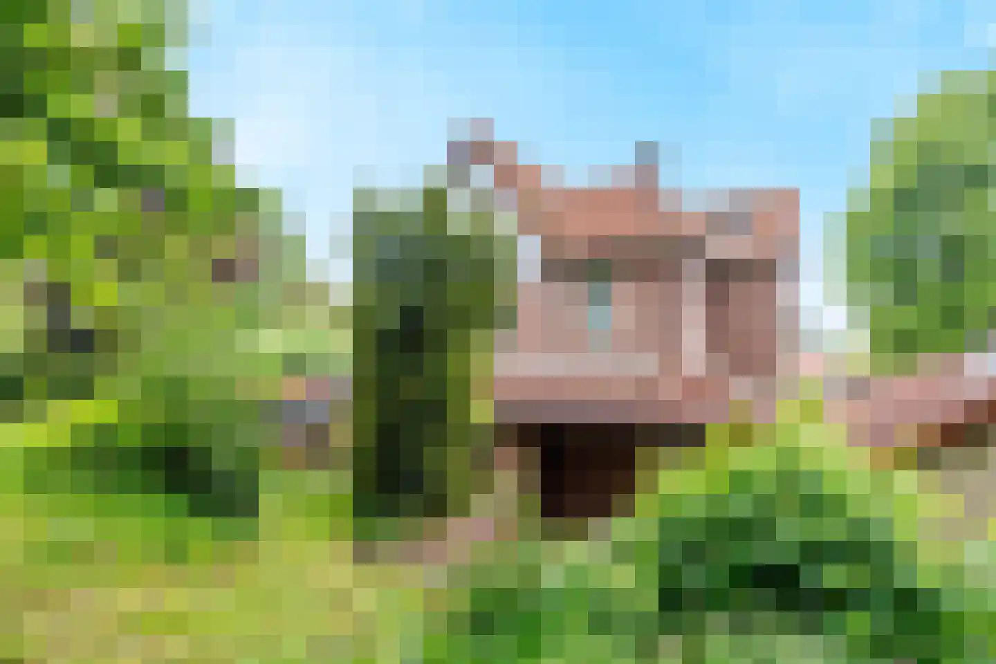 Heijenseweg 62 Gennep thumbnail 62