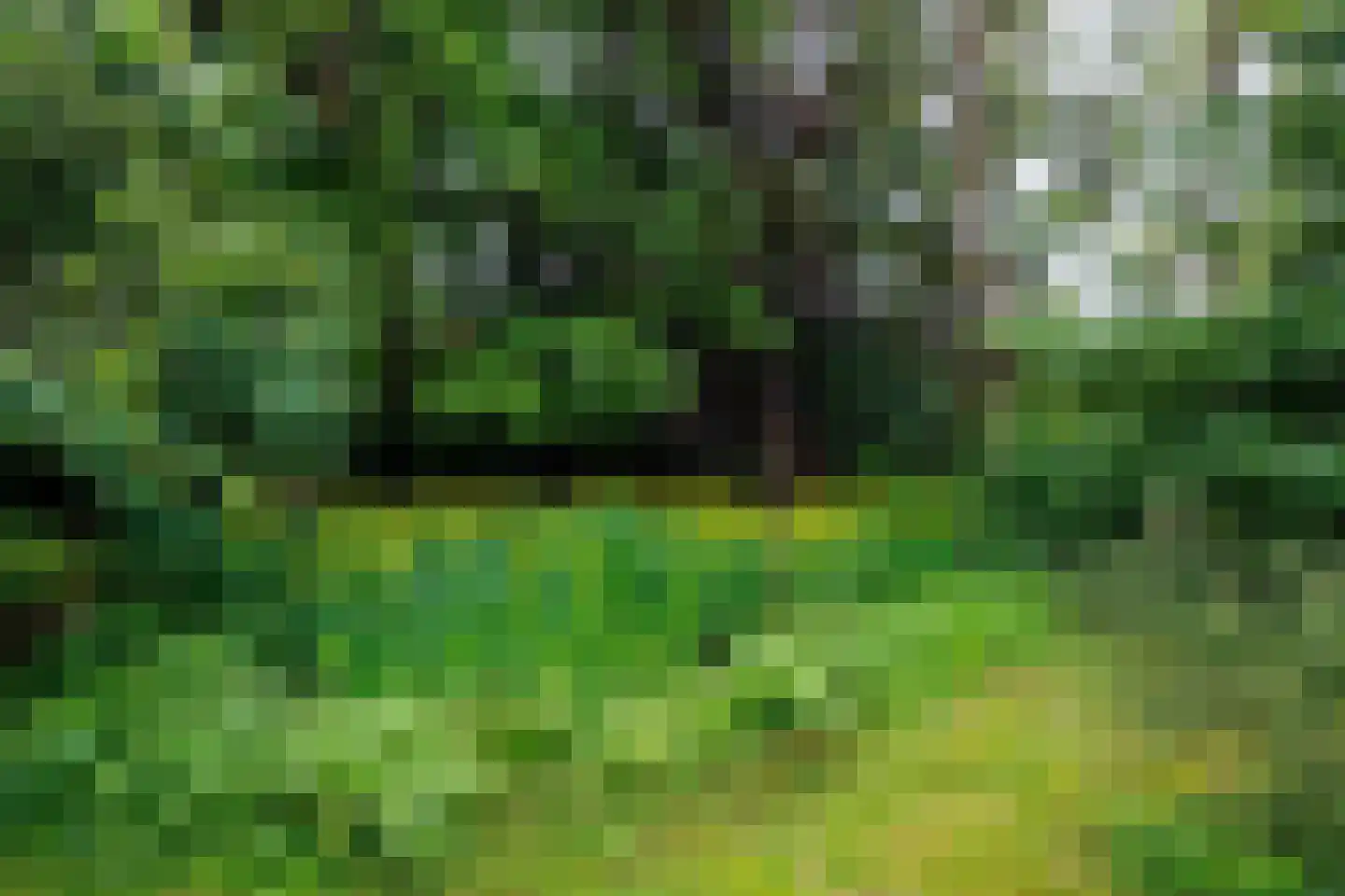 Heijenseweg 62 Gennep thumbnail 67