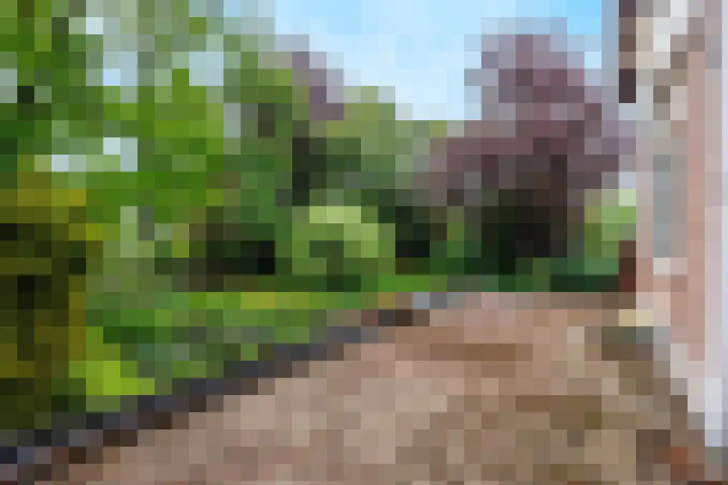 Heijenseweg 62 Gennep thumbnail 68