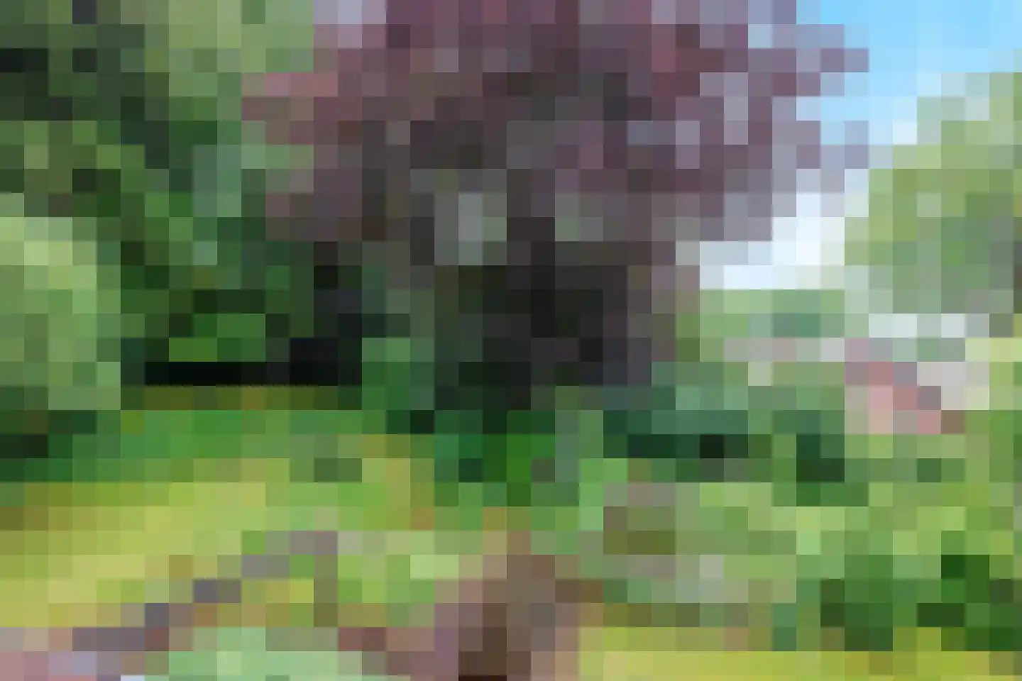 Heijenseweg 62 Gennep thumbnail 69