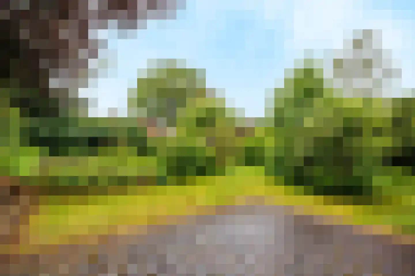 Heijenseweg 62 Gennep thumbnail 73