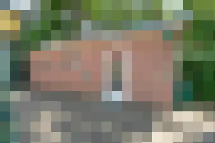 Heijenseweg 69 Gennep thumbnail 28