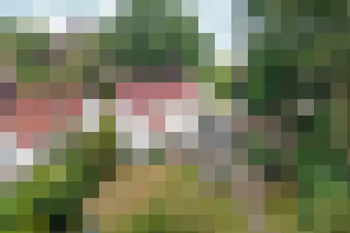 Heijenseweg 69 Gennep thumbnail 30