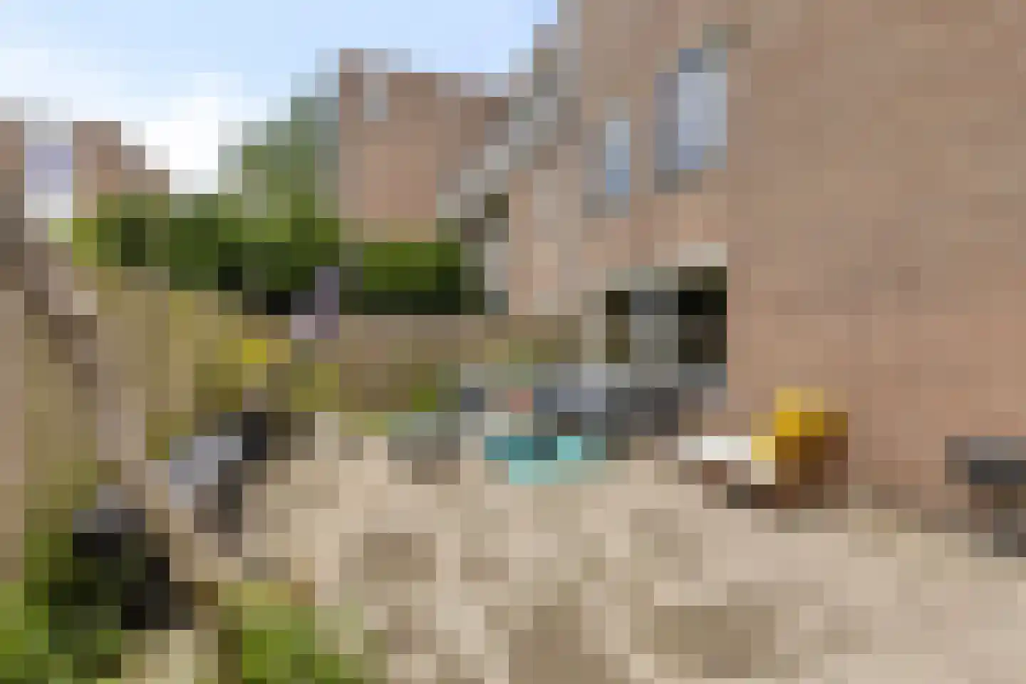 Heijermanshove 16 Zoetermeer thumbnail 14