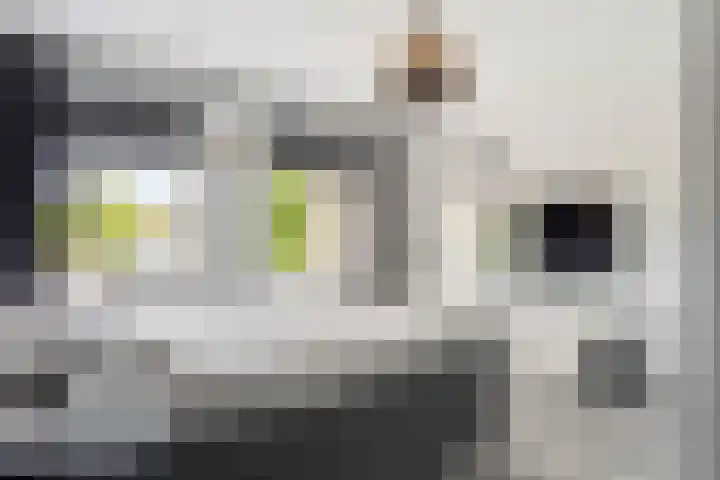 Heijermanshove 24 Zoetermeer thumbnail 12