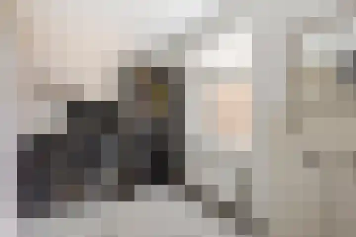 Heijermanshove 24 Zoetermeer thumbnail 15