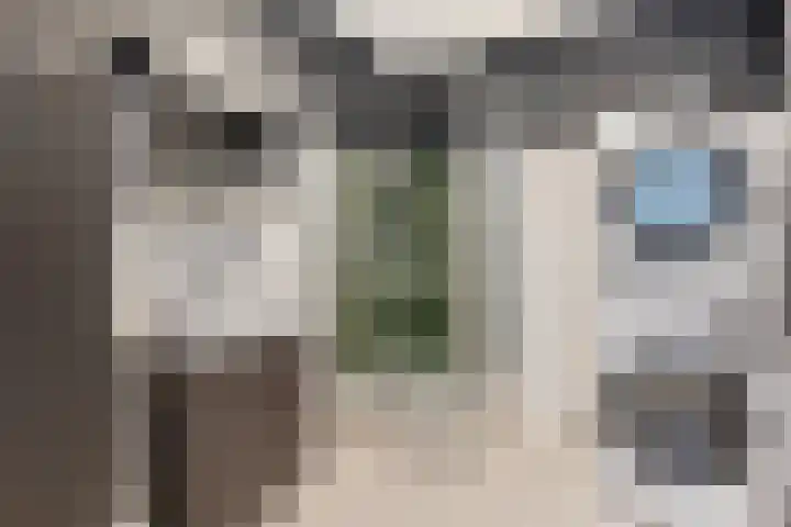 Heijermanshove 24 Zoetermeer thumbnail 16
