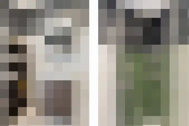 Heijermanshove 24 Zoetermeer thumbnail 17