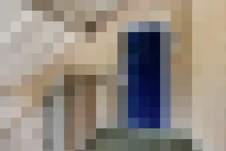 Heijermanshove 24 Zoetermeer thumbnail 19