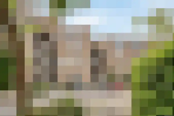 Heijermanshove 24 Zoetermeer thumbnail 22