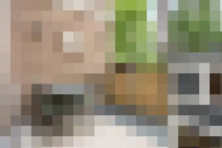 Heijermanshove 24 Zoetermeer thumbnail 5