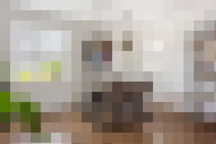 Heijermanshove 24 Zoetermeer thumbnail 6