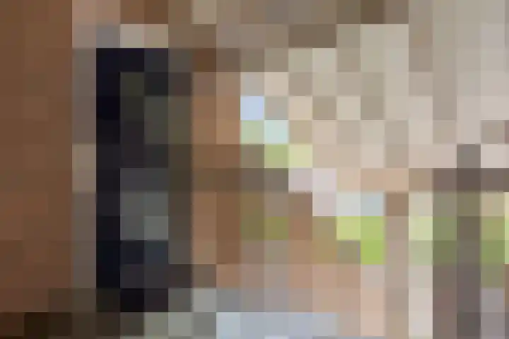Heijermanshove 28 Zoetermeer thumbnail 18