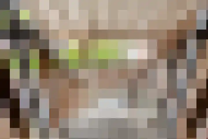 Heijermanshove 28 Zoetermeer thumbnail 19