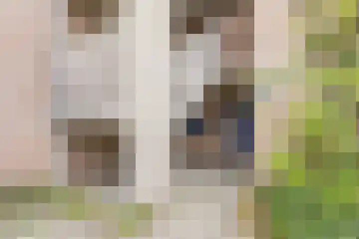 Heijermanshove 28 Zoetermeer thumbnail 24