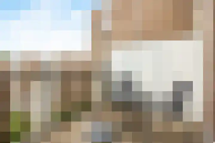 Heijermanshove 28 Zoetermeer thumbnail 8