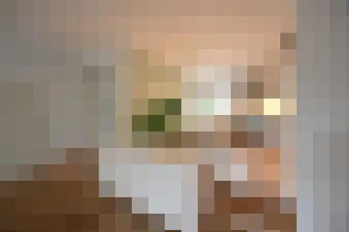 Heijermanslaan 25 Hilversum thumbnail 13