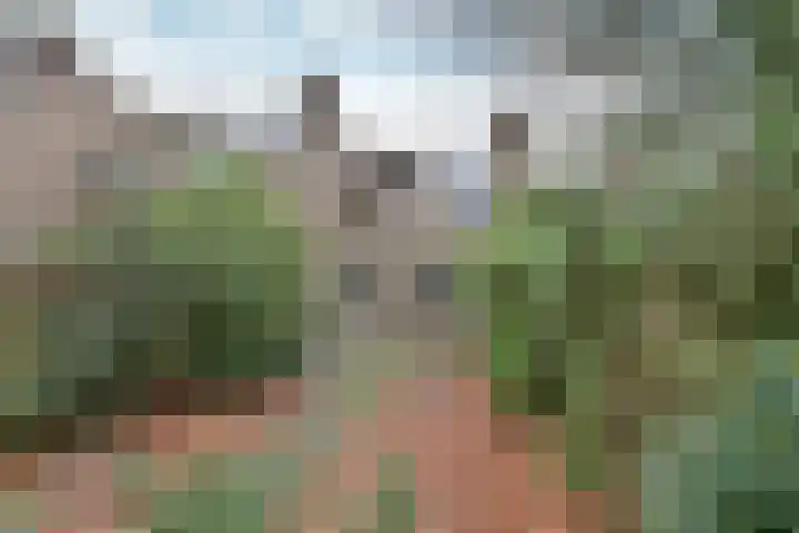 Heijermanslaan 25 Hilversum thumbnail 19