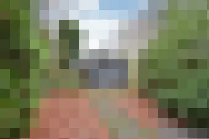 Heijermanslaan 25 Hilversum thumbnail 20