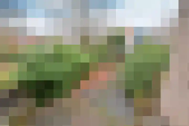Heijermanslaan 25 Hilversum thumbnail 21