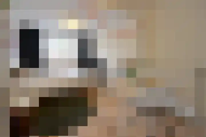 Heijermanslaan 25 Hilversum thumbnail 4