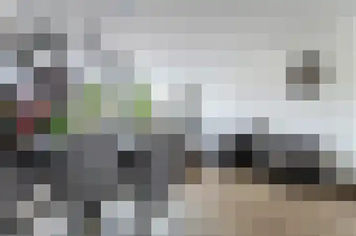 Heijermanslaan 27 Roosendaal thumbnail 10