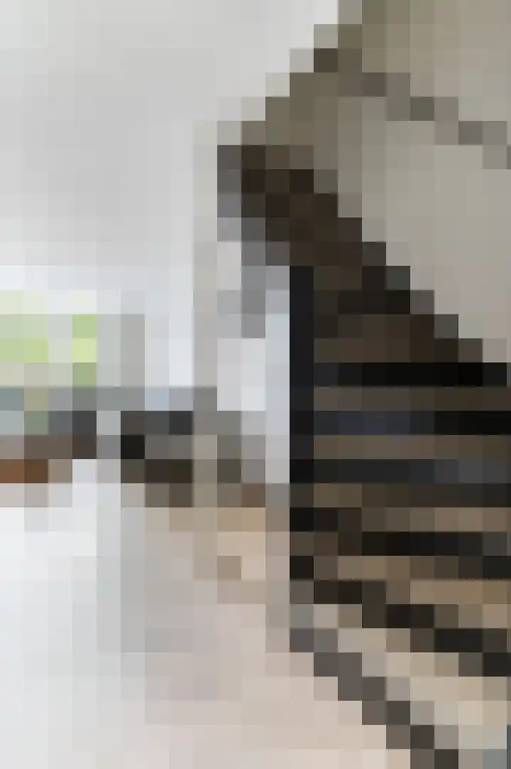 Heijermanslaan 27 Roosendaal thumbnail 8