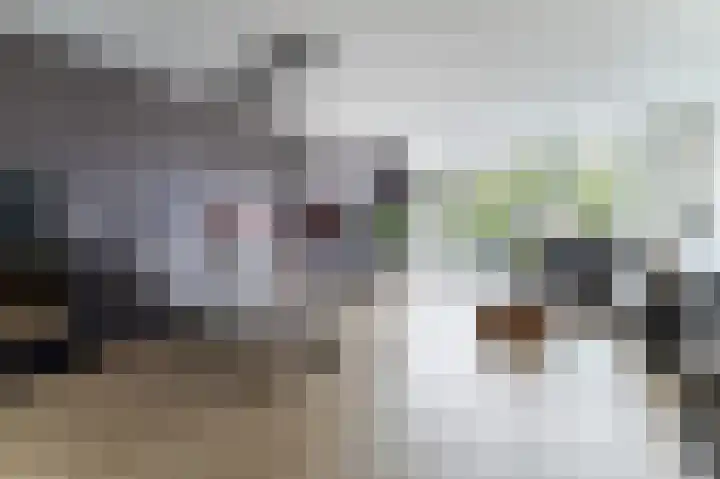 Heijermanslaan 27 Roosendaal thumbnail 9
