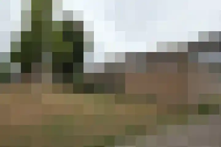 Heijermanslaan 9 Roosendaal thumbnail 24