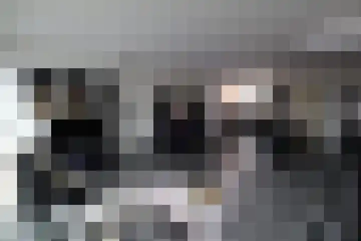 Heijermanslaan 9 Roosendaal thumbnail 5