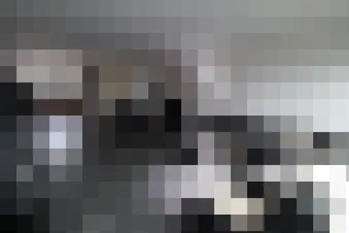 Heijermanslaan 9 Roosendaal thumbnail 6