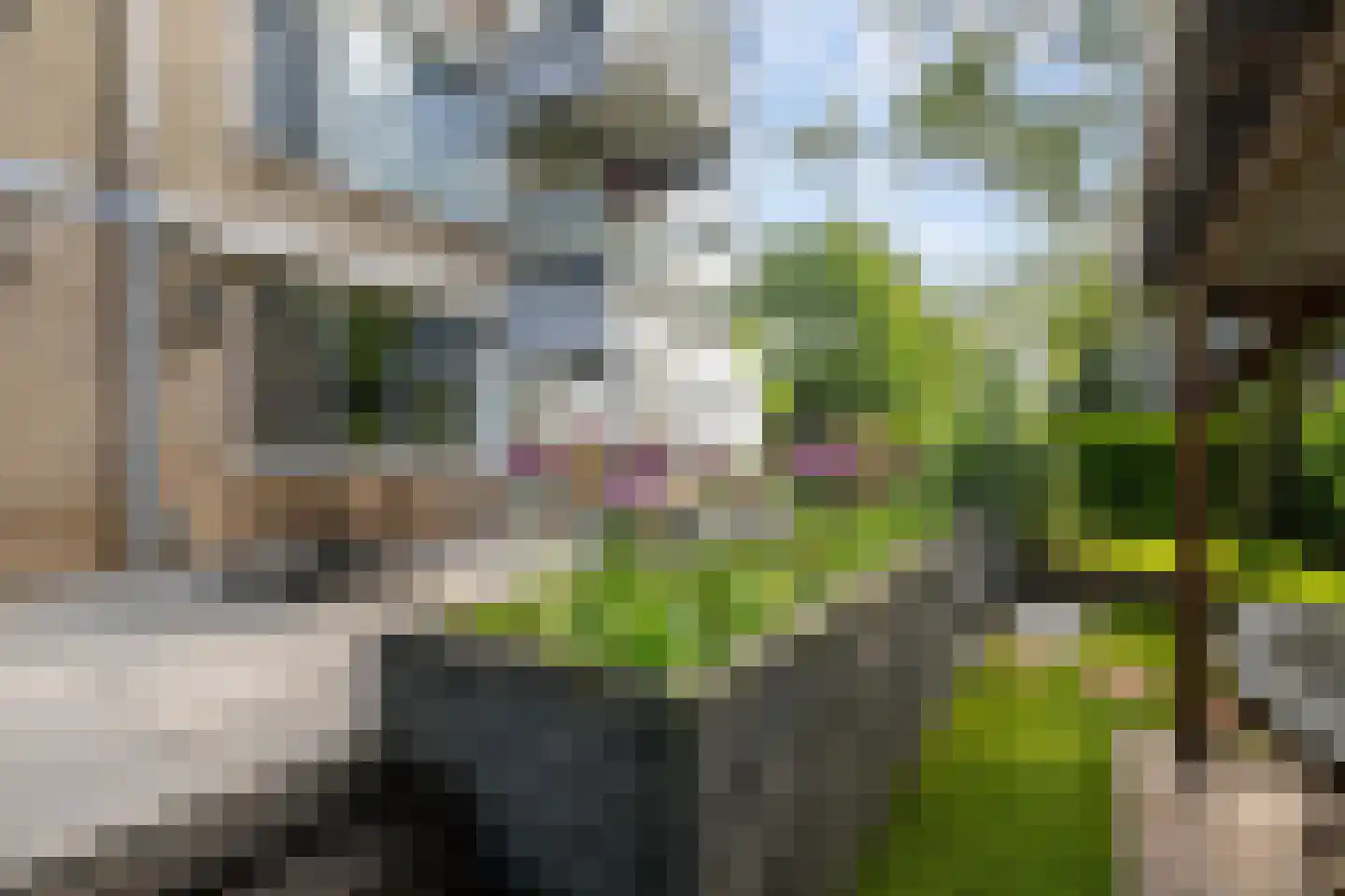 Heijermansplein 11 Schiedam thumbnail 24