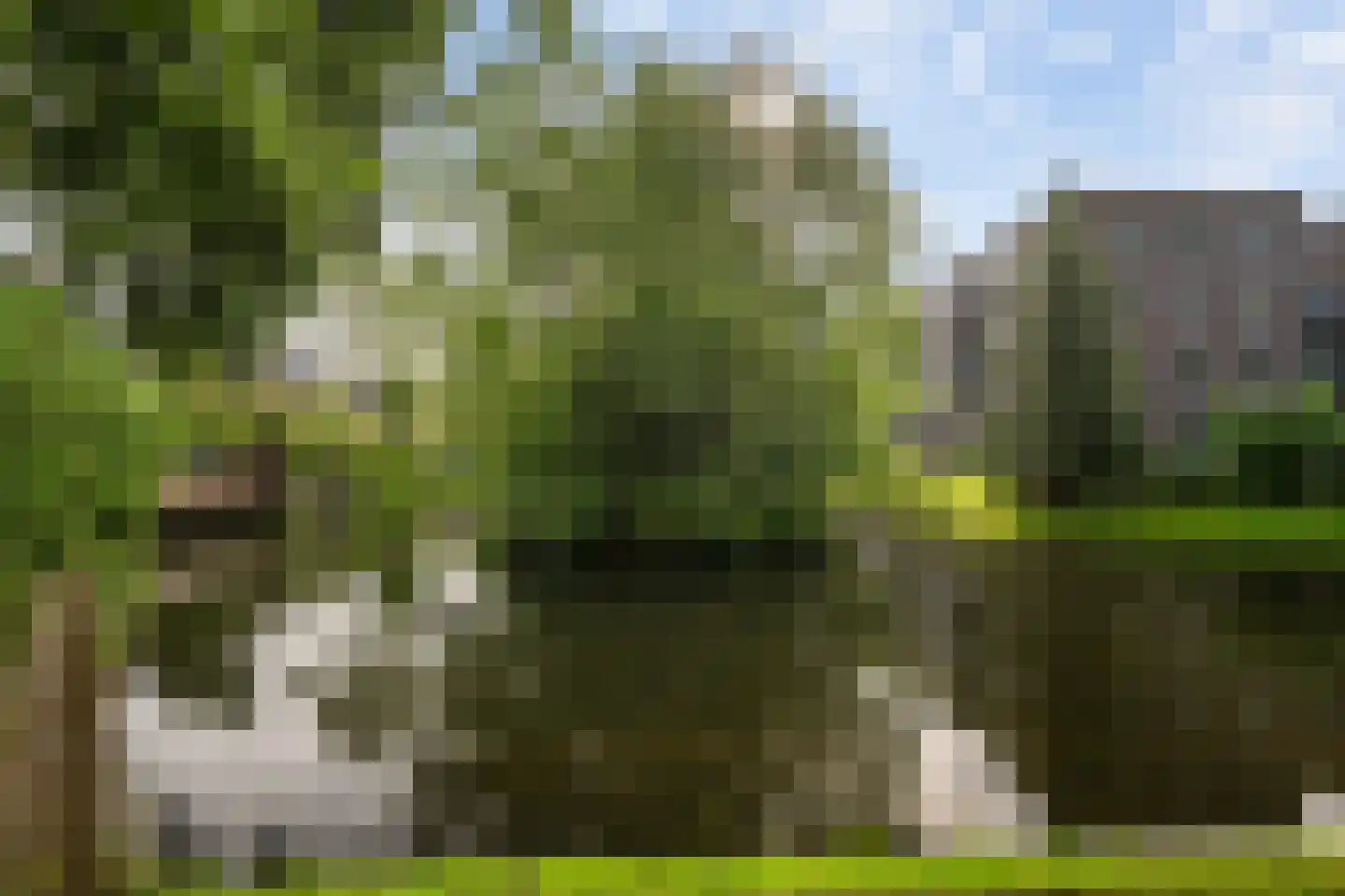 Heijermansplein 11 Schiedam thumbnail 36