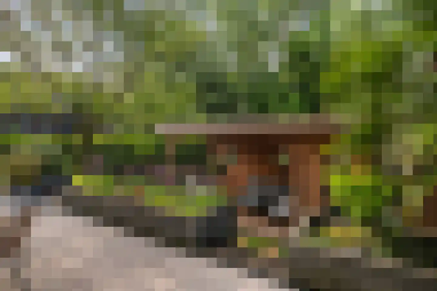 Heijermansplein 11 Schiedam thumbnail 4