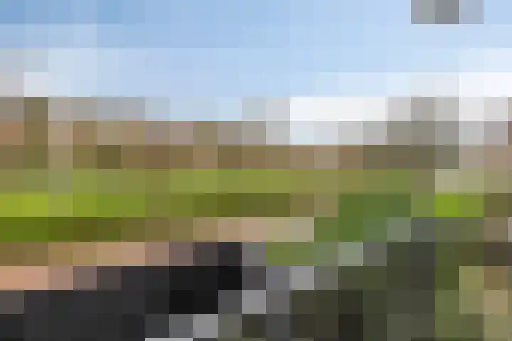 Heijermansplein 211 Schiedam thumbnail 28