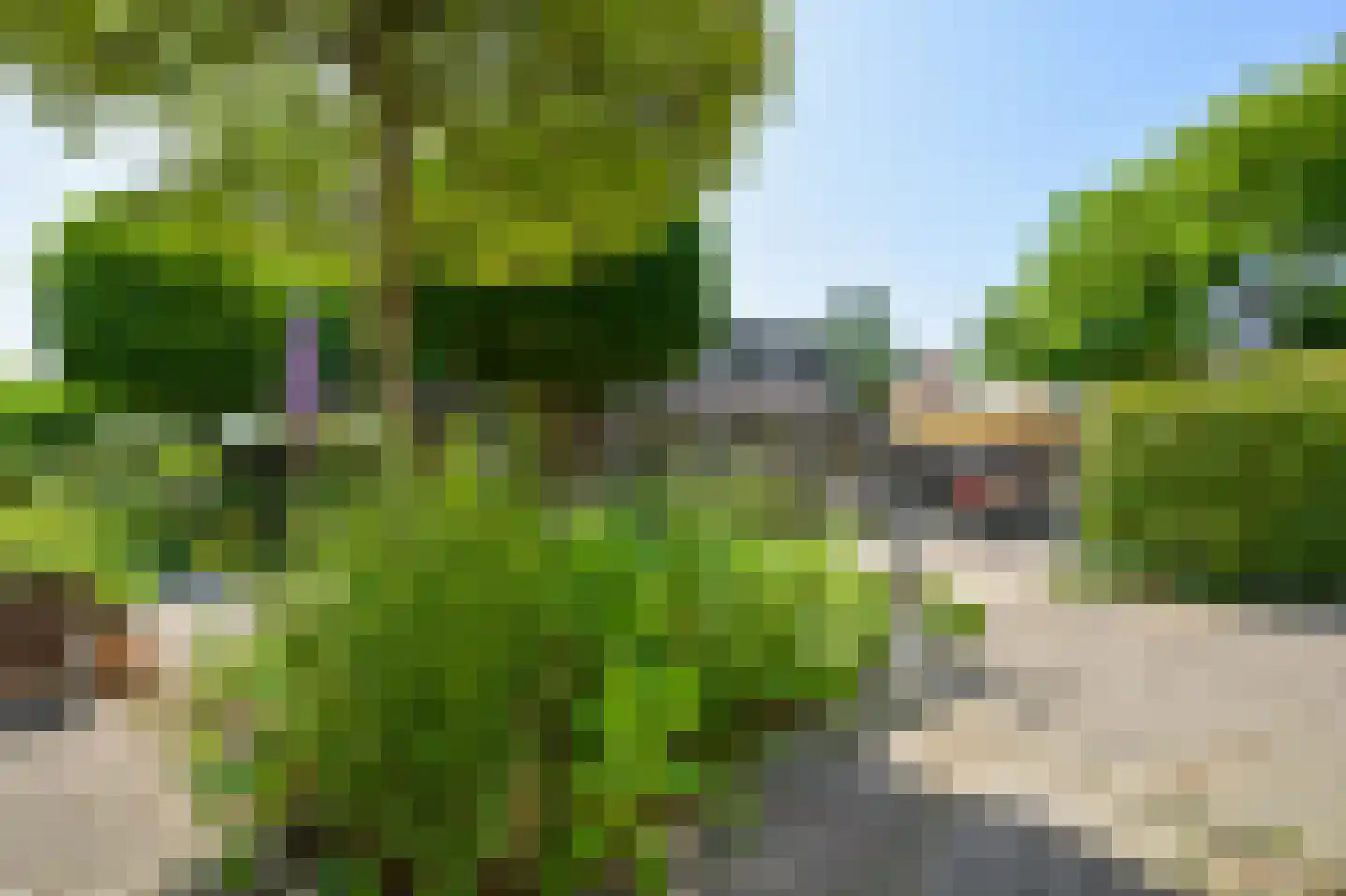 Heijermansstraat 143 Zaandam thumbnail 25