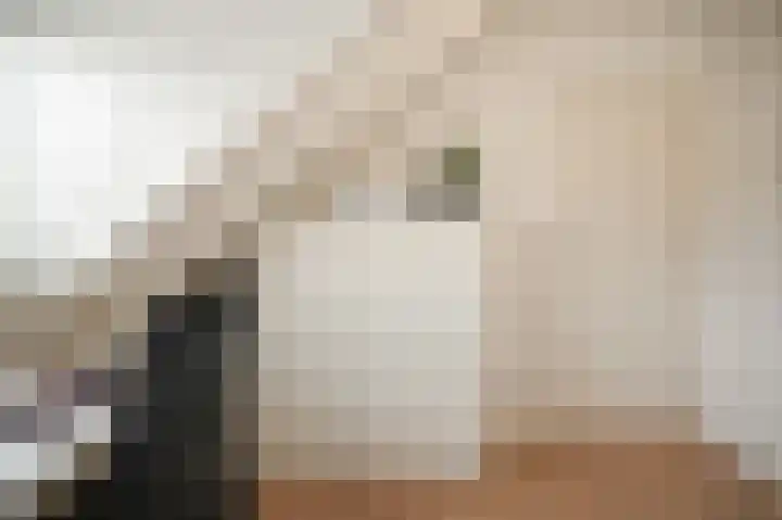 Heijermansstraat 15 Utrecht thumbnail 38