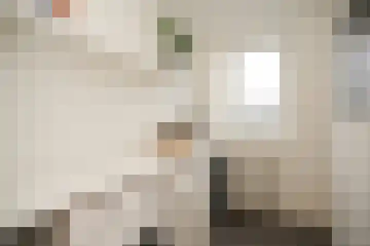 Heijermansstraat 15 Utrecht thumbnail 39