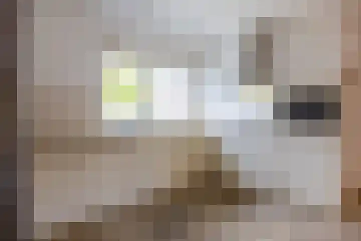 Heijermansstraat 2 Doetinchem thumbnail 12