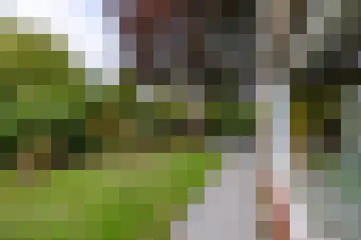 Heijermansstraat 2 Doetinchem thumbnail 78