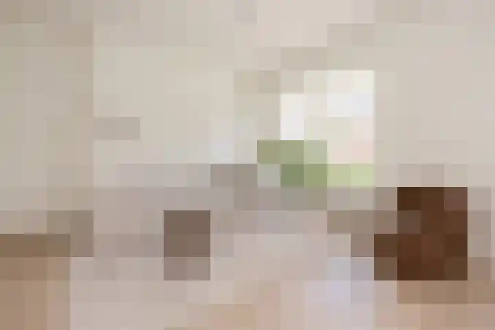 Heijermansstraat 22 BS Utrecht thumbnail 4