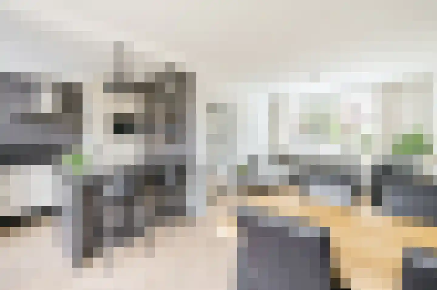 Heijermansstraat 25 Harderwijk thumbnail 14